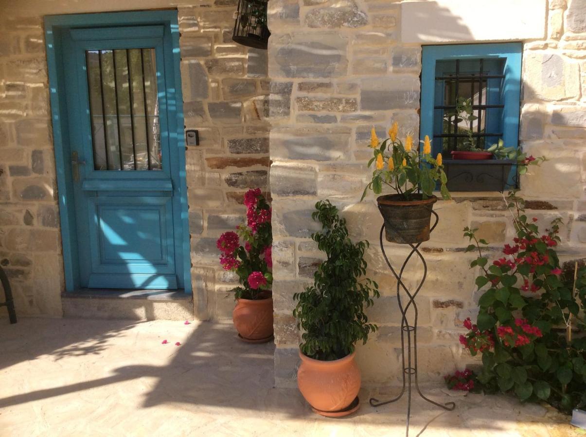Kritikies Kydonia Villa Pitsidia Exterior photo